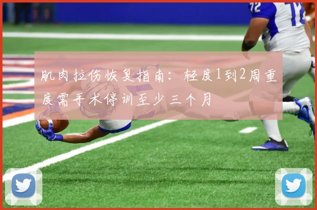 肌肉拉伤恢复指南：轻度1到2周重度需手术停训至少三个月