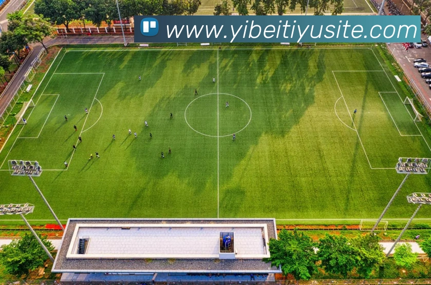 多媒体互动体验